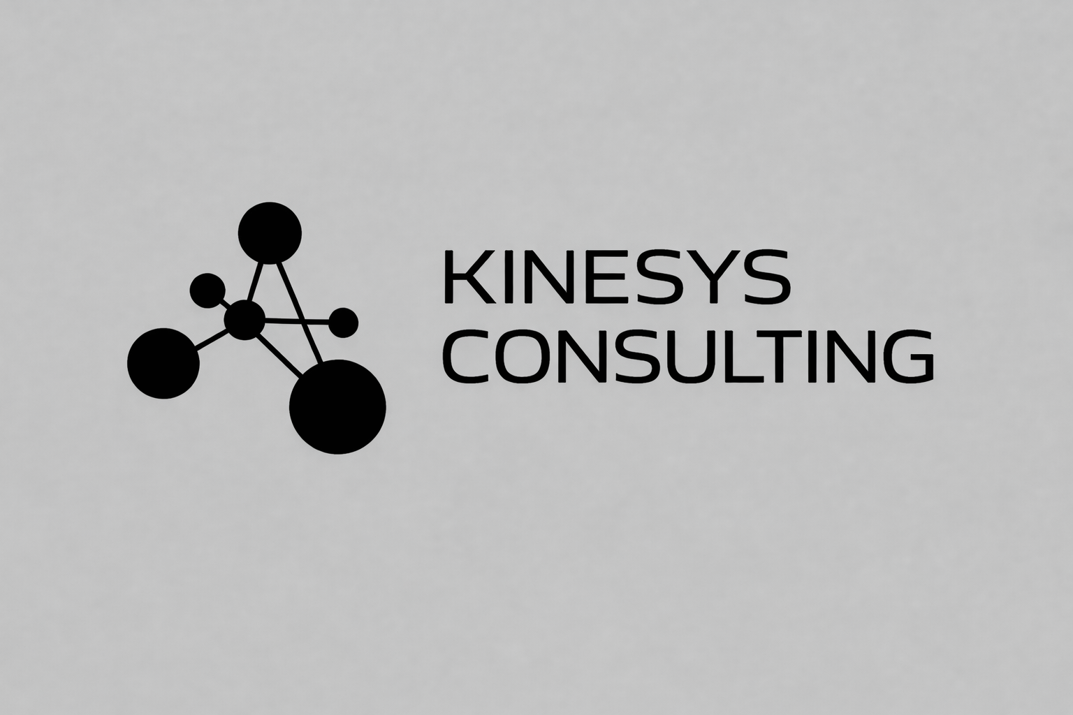 Kinesys Consulting