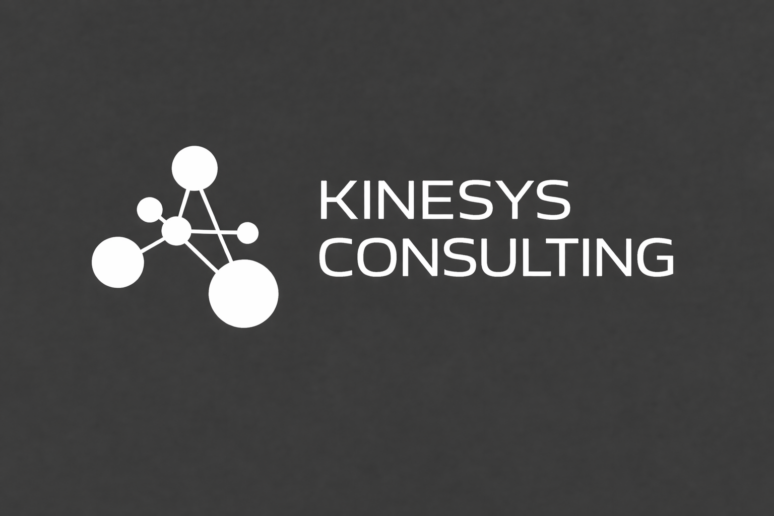 Kinesys Consulting